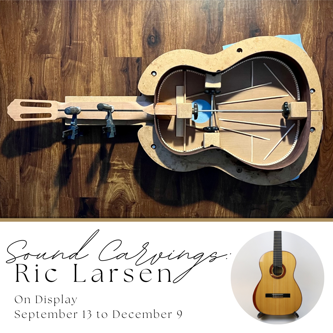 Sound Carvings Ric Larsen